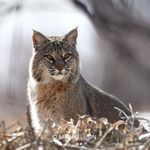 michael Jon - @michael.jon.10353 - Instagram