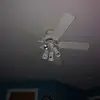 MichaelJonas - @michaeljones826 - TikTok