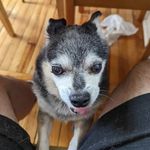 Michael Jungwirth - @djcuddlesmtl - Instagram