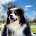 Michael Jungwirth - Facebook
