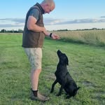 Michael Junker Hansen - Grønjægergård - @groenjaegergaard - Instagram
