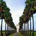 Michael Jutt - Facebook