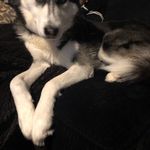 Michael Kahn - @michaelkahn9795 - Instagram