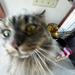 Michael Kanalas - @kanalasmike - Instagram