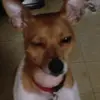 michaelkapala0 - @michaelkapala0 - TikTok