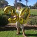 Michael Kapp - Facebook