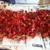 Michael Kapp - @michael.kapp0 - TikTok