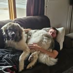Michael Kapp - @michaelkapp20 - Instagram