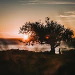 Michael Karge - @michealkarge - Instagram