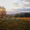 Michael Karger - @michaelkarger - TikTok