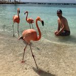 Michael Kaser - @michael_kaser - Instagram