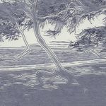 Michael Kasner - @michaelkasner - Instagram