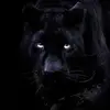 Michael Kassa - @michaelkassa - TikTok