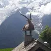 michaelkassabov - @michaelkassabov - TikTok