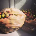 Michael Kaster - @apple_tasties - Instagram