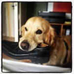 @michael_kaster - Instagram