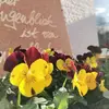 michaelkaupp268 - @michaelkaupp268 - TikTok