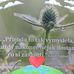 Michal Kulich - Facebook