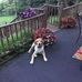 Michael Kayes - Facebook