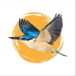 Michael Keats - @dawnchorus.natureducation - Instagram