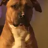 Michael Keats - @michaelk278 - TikTok