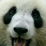 Michael Keay - @michaelkeay333 - Instagram