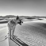 Michael Keel | California Wedding & Travel Photographer - @michaelkeelphotography - Instagram