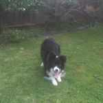 Michael Keely - @michael.keely13 - Instagram