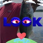 Michael Kepler - @kepler5981 - Instagram