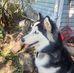 Michael Kersting - Facebook