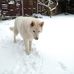 Michael Kersting - Facebook