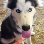 Michael Kersting - @hdrider572 - Instagram