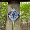 michael kessler - @michael.kessler - TikTok