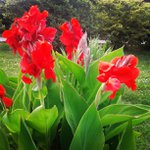 Michael Ketcham - @webgainui - Instagram