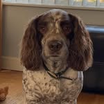 Michael - @michael_kew - Instagram