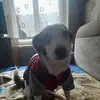 Michał Kiedrowski - @micha.kiedrowski - TikTok