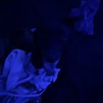 michael - @michaelkiesel2022 - Instagram
