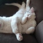 Michael Kiesel - @mkiesel2003 - Instagram