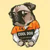 michael killen - @michaelkillen1 - TikTok