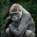 Michael Kilpatrick - @michael.kilpatrick021 - Instagram