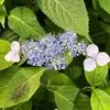 __michaelkim__ - @__michaelkimm__ - TikTok