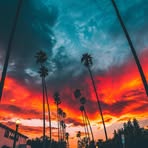 Michael Kinn - Facebook