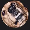 michael - @michaelkinnaird - TikTok