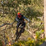 Michael Kinnane - @michael.kinnane - Instagram