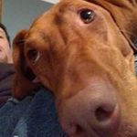 Michael Kizer - @kizermichael - Instagram