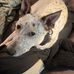 Mike Kizer - Facebook