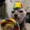 Michael Klein - @michaelklein41 - TikTok