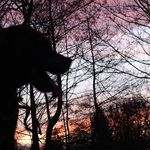 Michael Kl - @michael.kleinertz.54 - Instagram