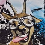 Michael Kleinert - @michael._.kleinert - Instagram