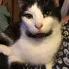 Achim - @michael.kleinhenz5 - TikTok